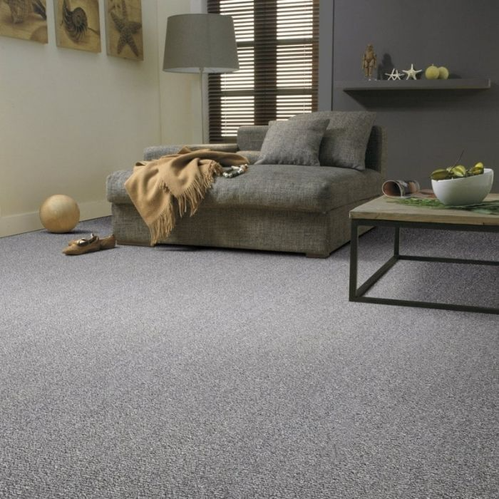 Grey carpeted living room with modern decor