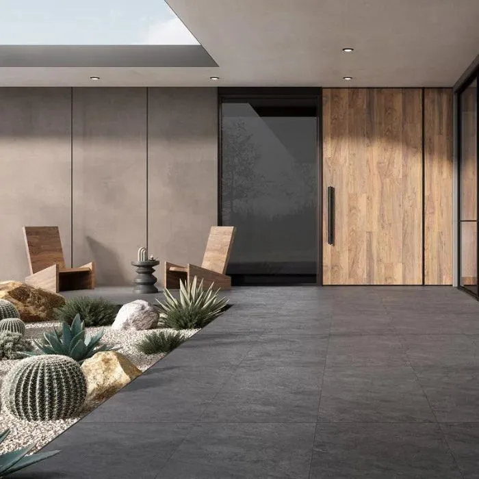 Anthracite tile designs on a patio with cactus plants and wooden door