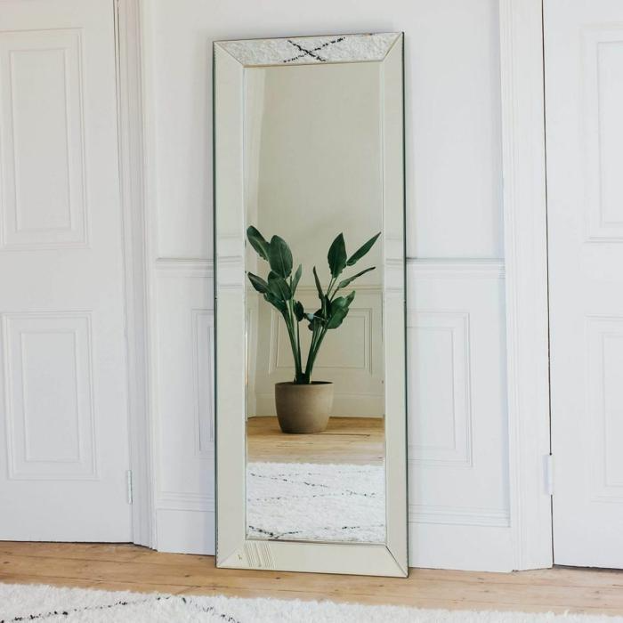 Full-length mirror with plant in reflection