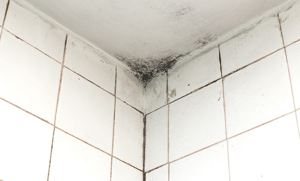 Mold growth on bathroom ceiling corner and tiled walls.
