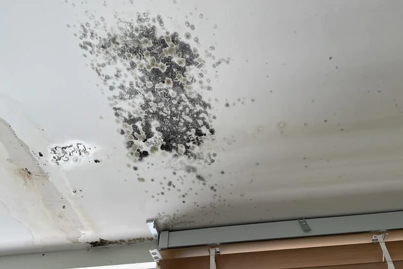 Mold growth on bathroom ceiling needing immediate attention and cleaning.