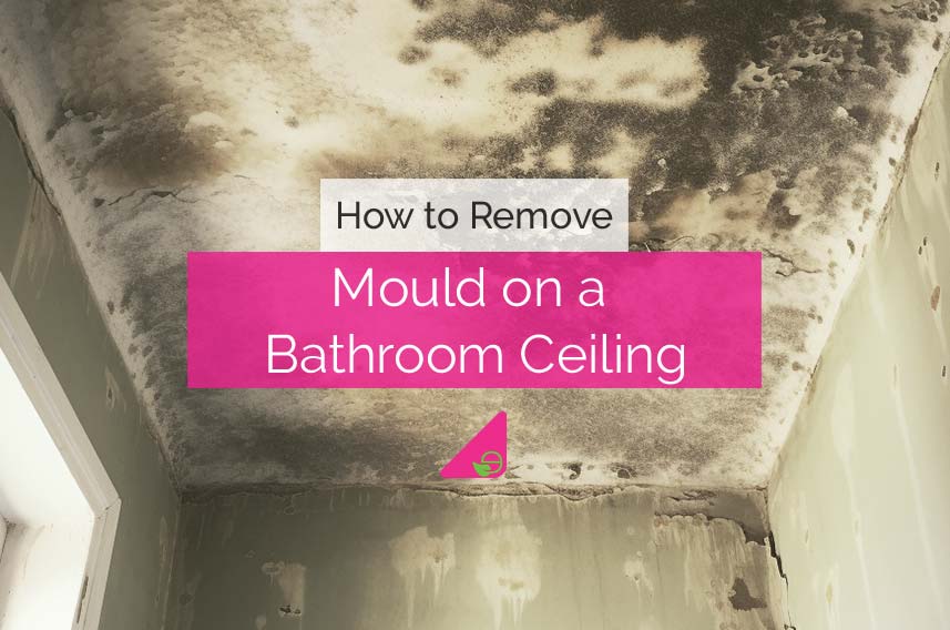 Severe mold growth on neglected bathroom ceiling.