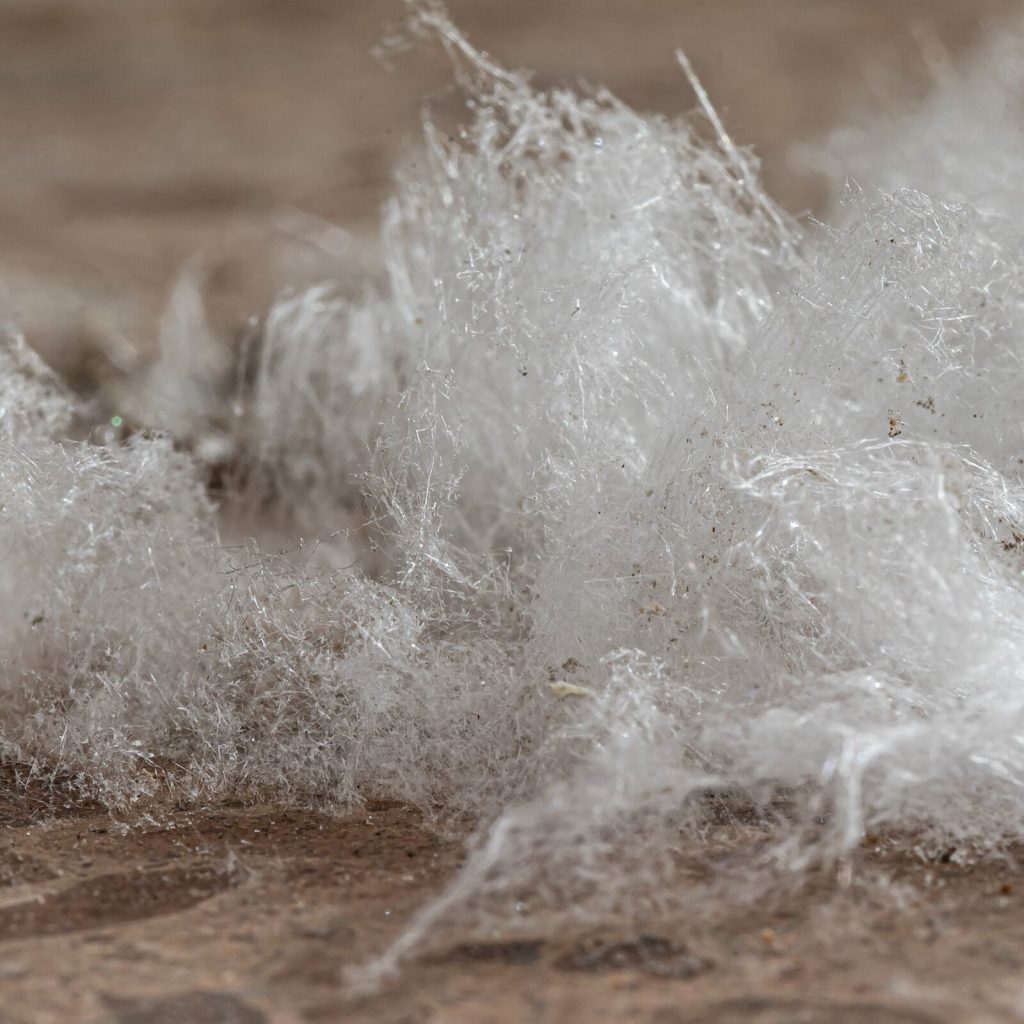 White salt crystals growing out of a damp floor