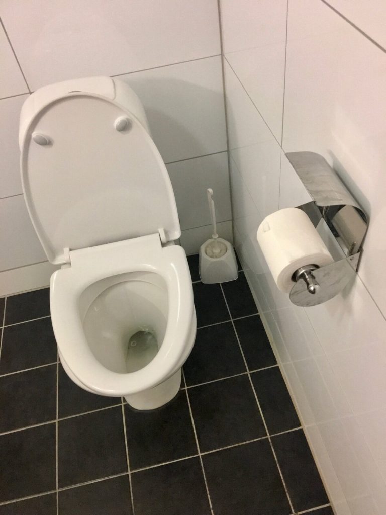 Floor-standing toilet on dark square floor tiles with white tiled walls